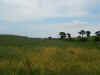 Flodden_0009.JPG (167721 bytes)